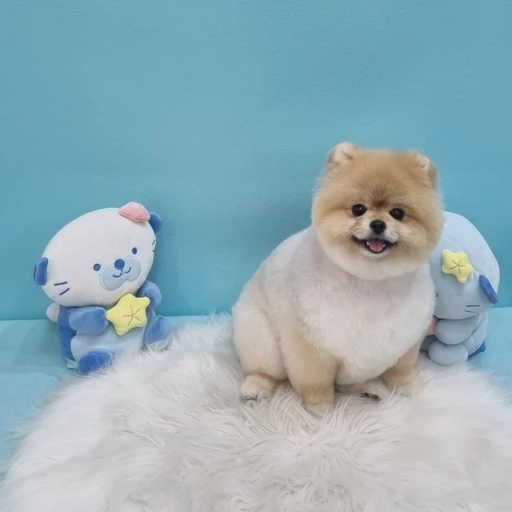 이재니