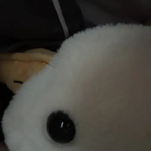 PuristBell6960의 작성자랑 이야기해보기