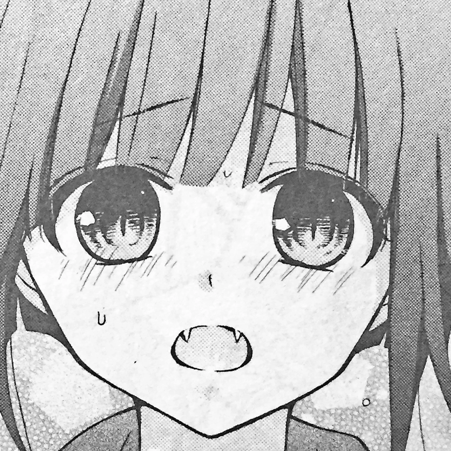 篝月霖