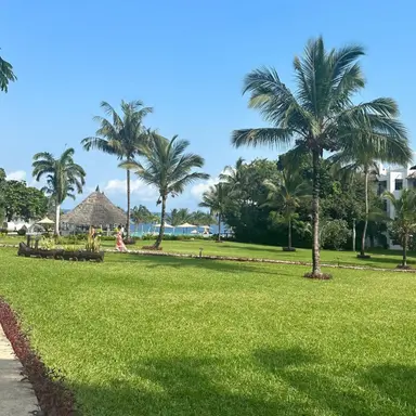 Profile image of 유채은