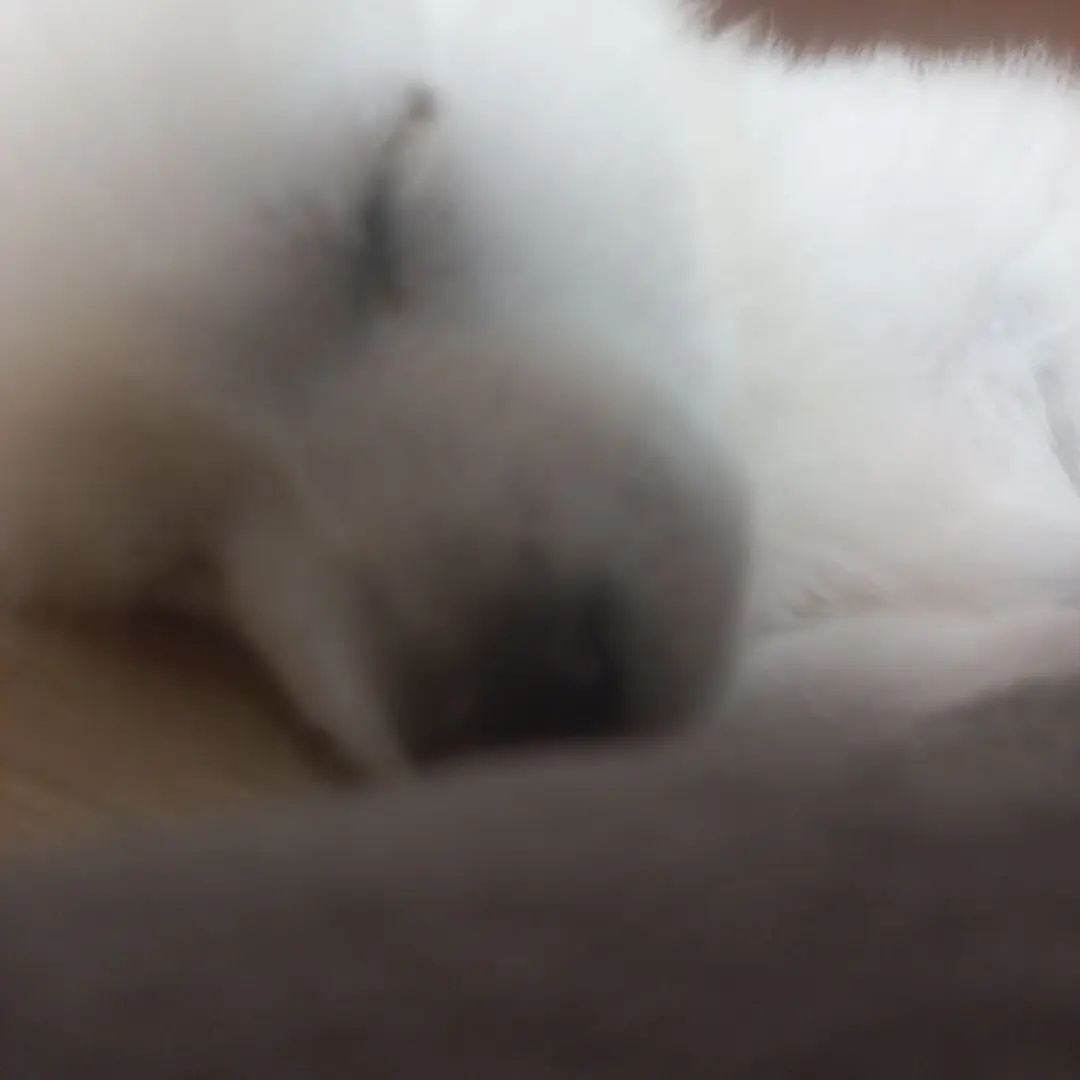 GreasyPearl6889의 날 좋아하는 진따