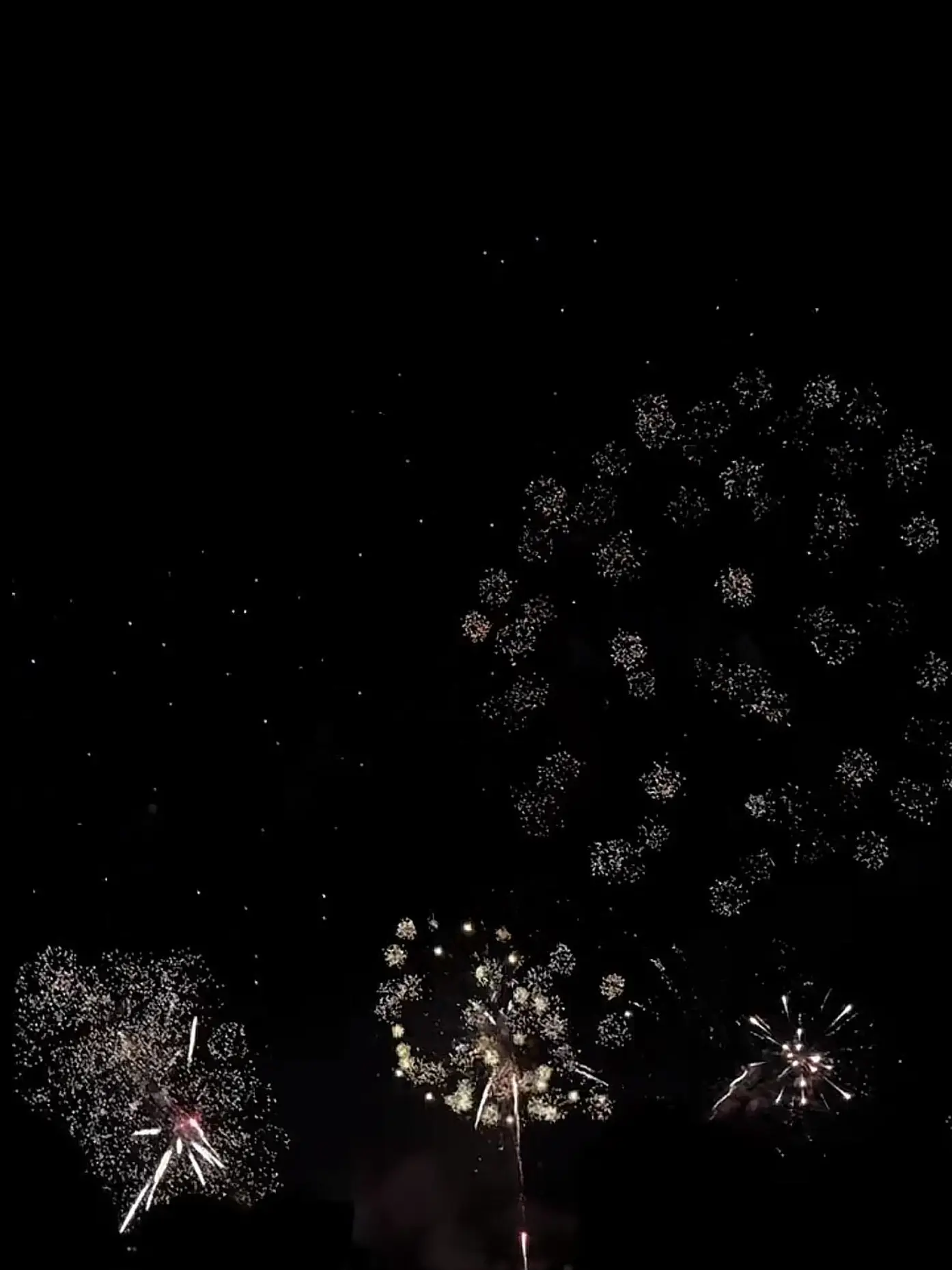 BrassyArco3281의 애니메이션