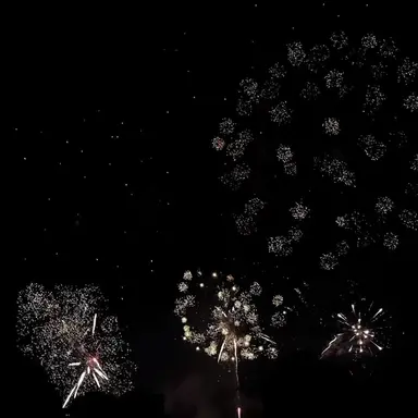 Profile image of 애니