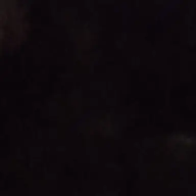 Profile image of 개발자