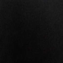 사칭범