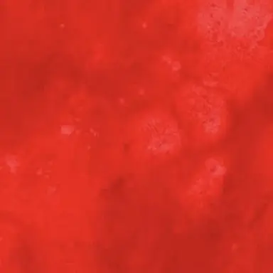 Profile image of 赤羽葉子