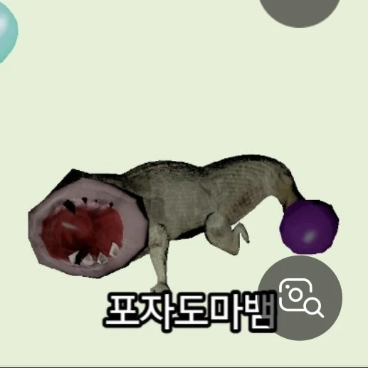 포자도마뱀
