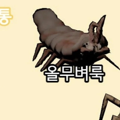올무벼룩