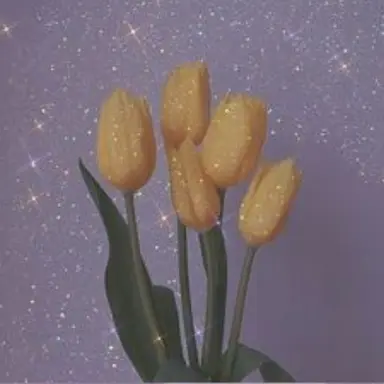 Profile image of 모양몬