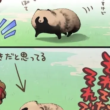 Profile image of たぬき
