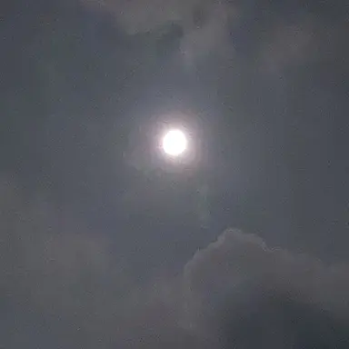 Profile image of 케더헌 디코