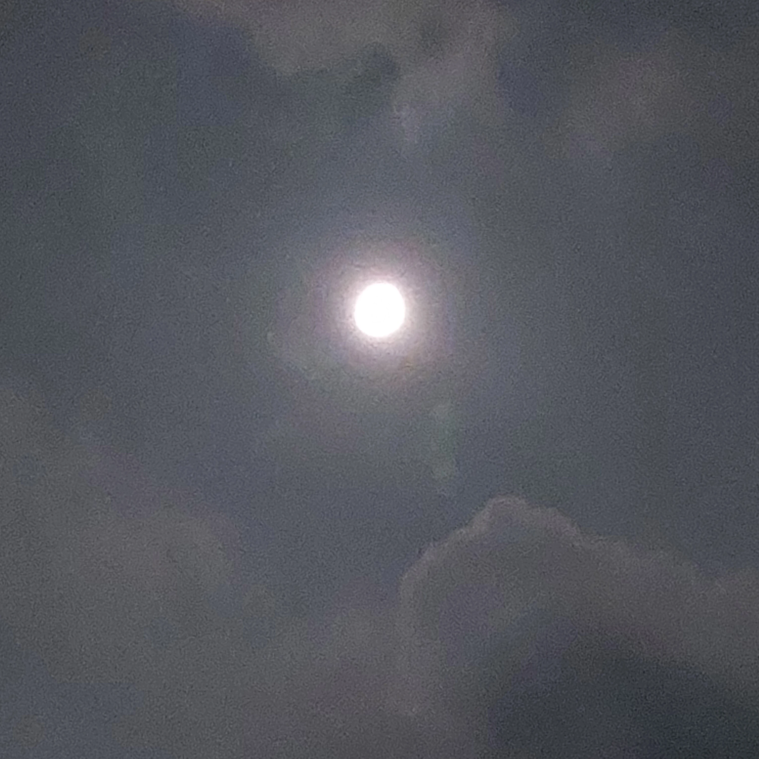 케더헌 디코