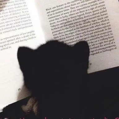 Profile image of テサン