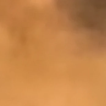 メモ