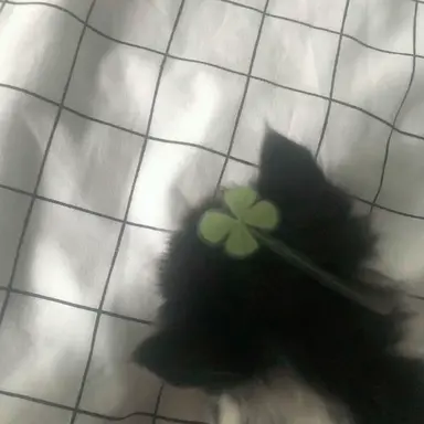 Profile image of 草川拓弥