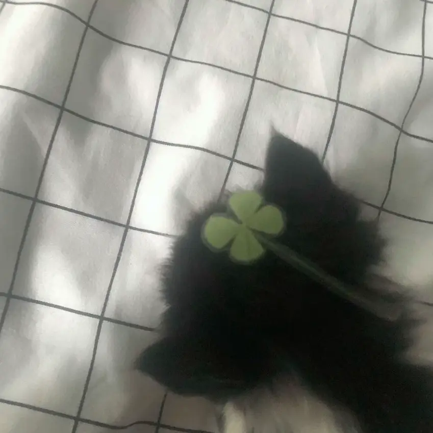 xokn21.14의 俺以外見んなよ