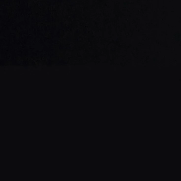 조직보스 전원누