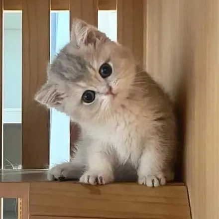 skz.sps_HJ.F의 이민호