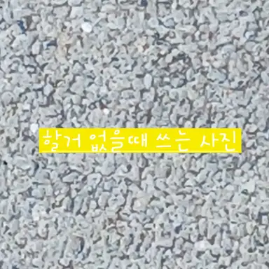 Profile image of 아름