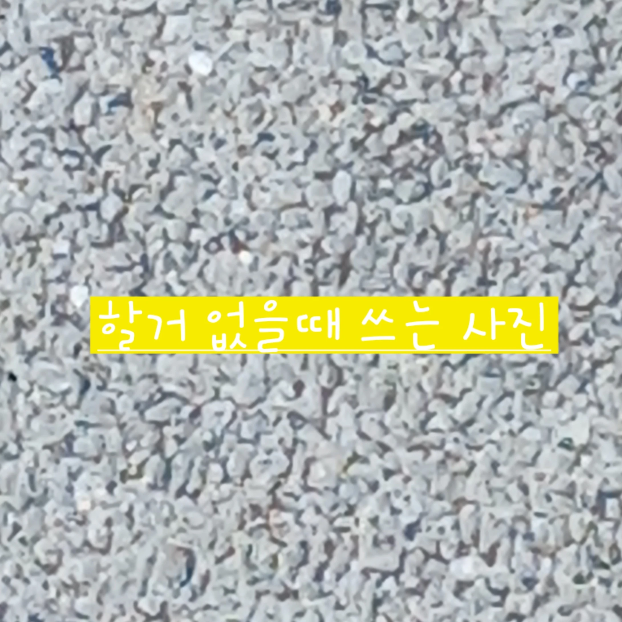 아름