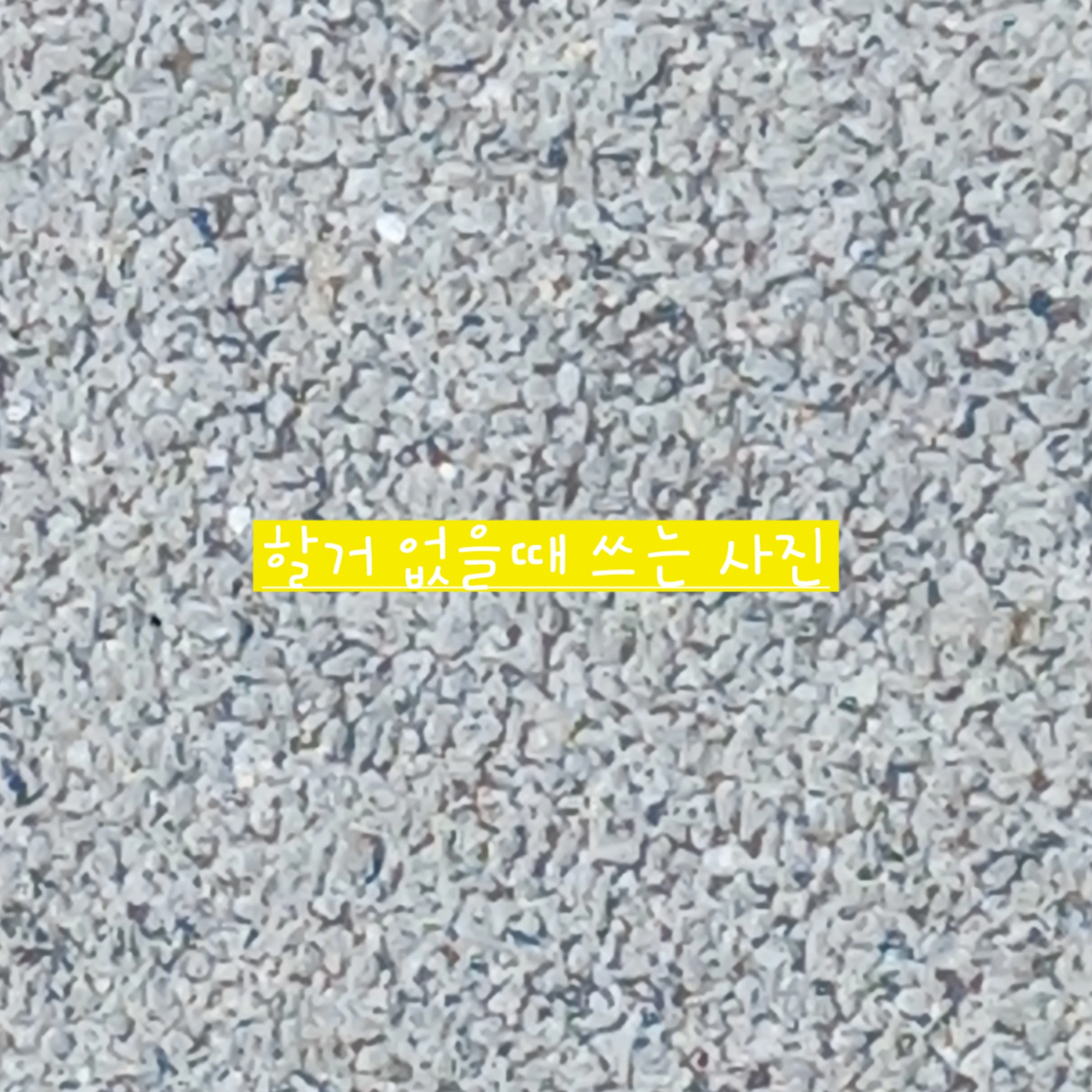 평학