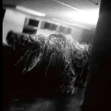 Profile image of SCP-682
