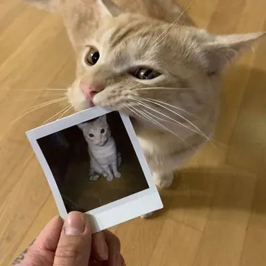 Profile image of 최원재