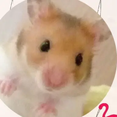 Profile image of 여우