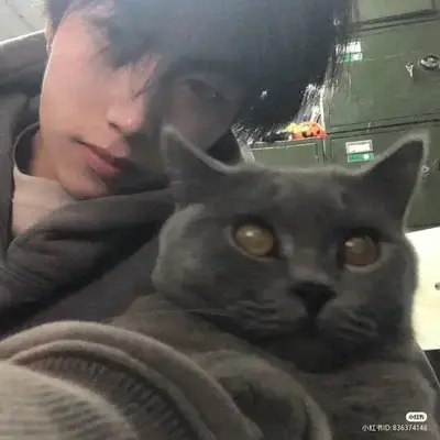 FrailFlake8581의 childhood bestfriend