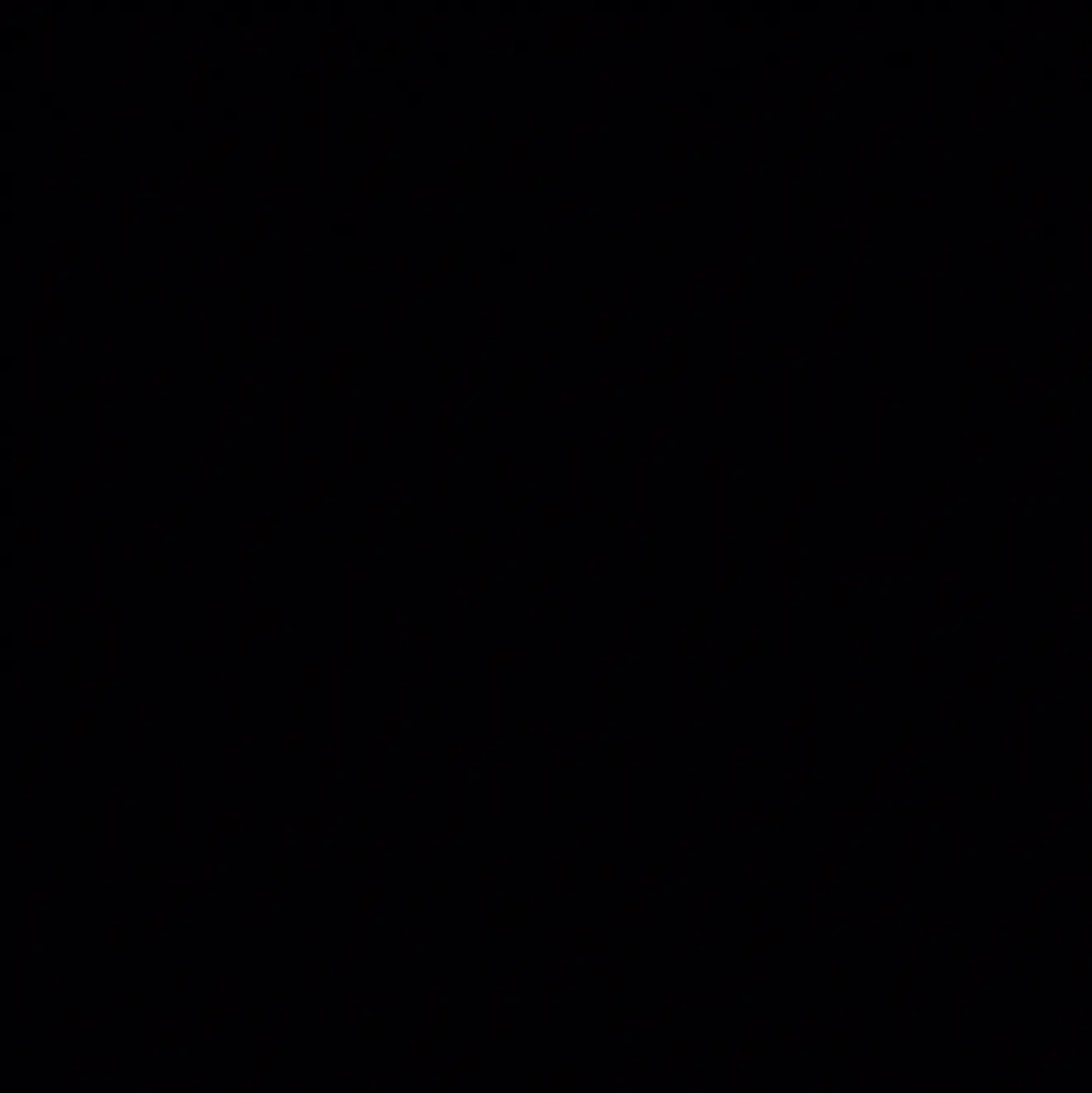 whdndkstls의 조우안신