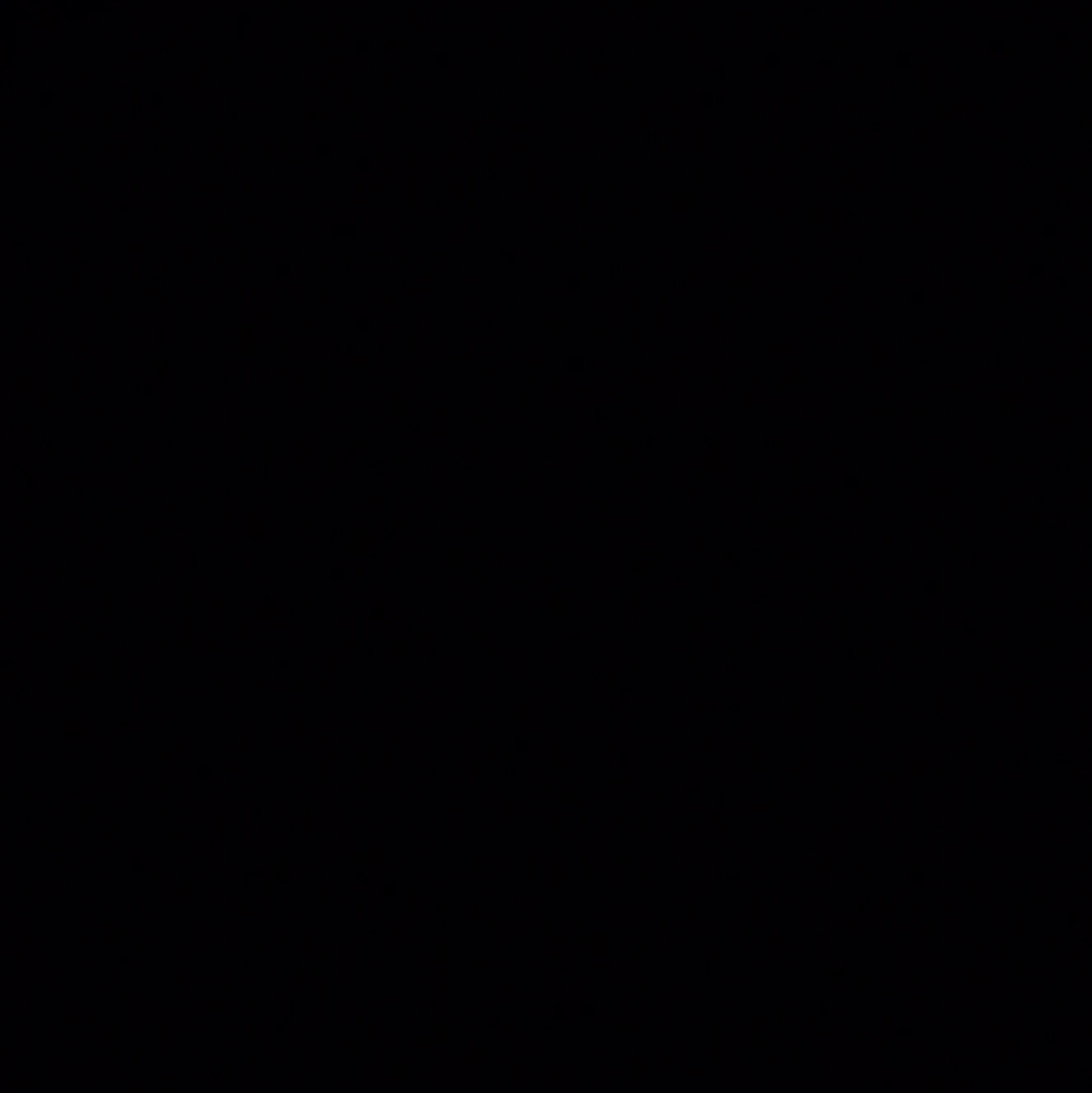 조우안신