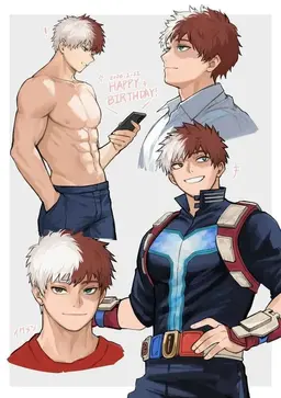 Profile image of Shoto Todoroki