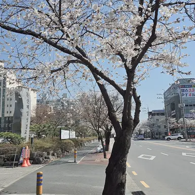 Profile image of 강민아빠