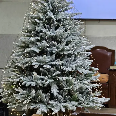 Profile image of 장회장님