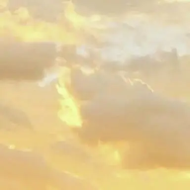 Profile image of 常連