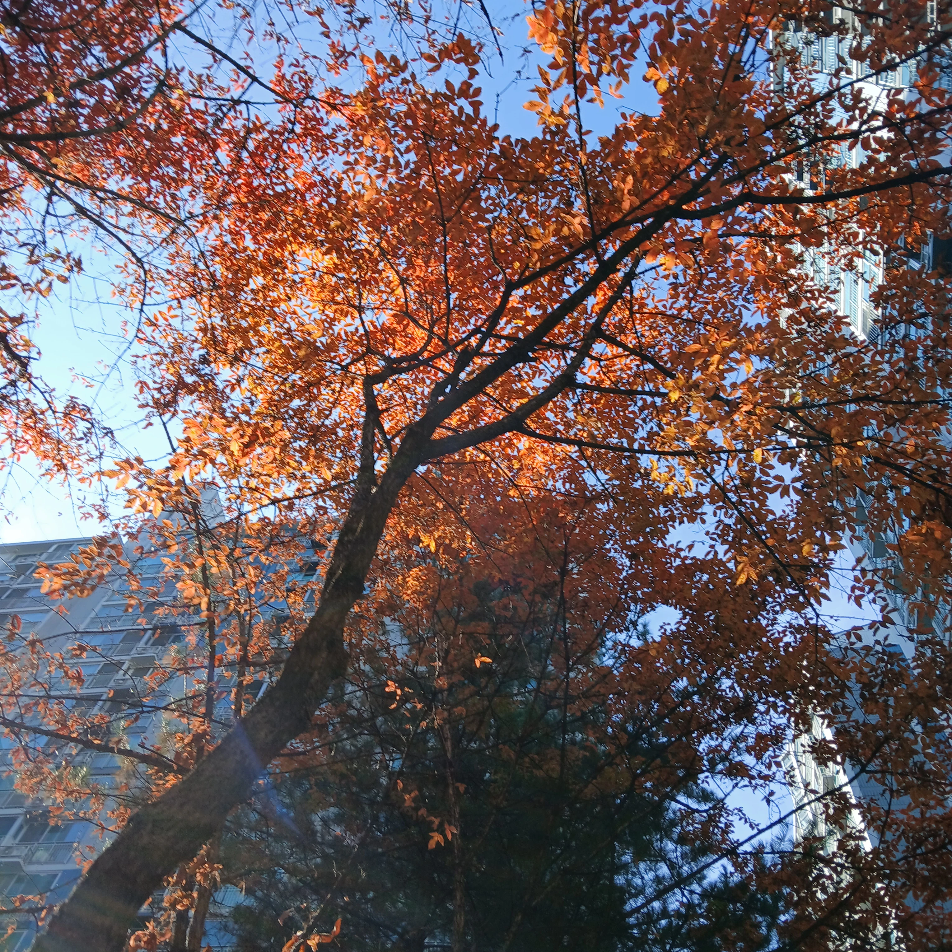 이정후