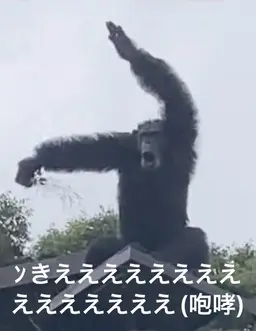 Profile image of ぶり子