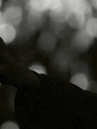 mga_911002의 支配者