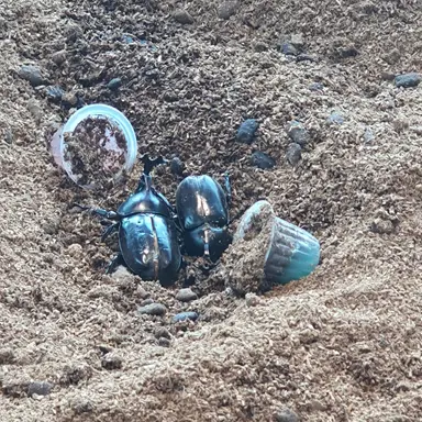 Profile image of 배 아픈 주들