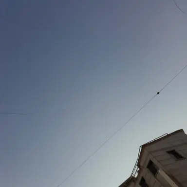 Profile image of 잠뜰