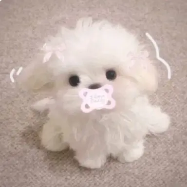 Profile image of 또랑