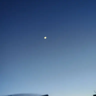 Profile image of ねね