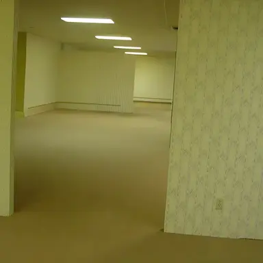 Profile image of Backrooms
