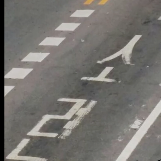 컨휴학교(여우) 대표 이미지