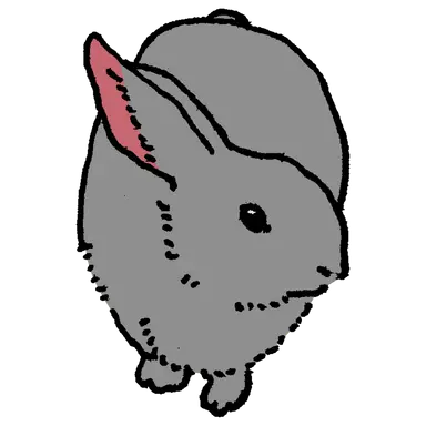 Profile image of bunny