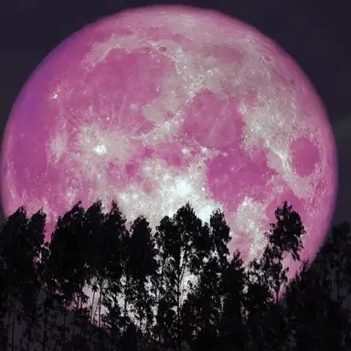 Profile image of 김민정