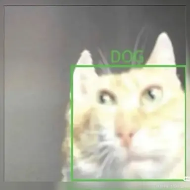 Profile image of 여우