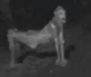 GloomyWiper4891의 Your Skinwalker Mother, Brenda