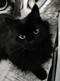 Profile image of Bill