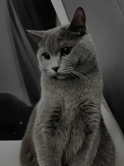 Profile image of George